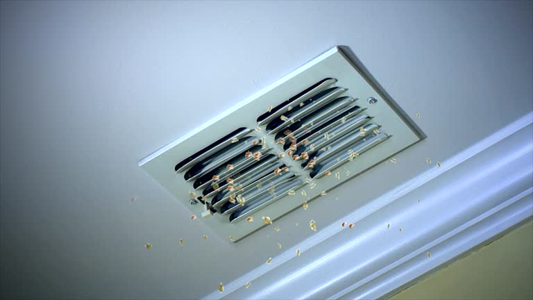 Best Air Vent Cleaning Services  in Shelbyvle, IL