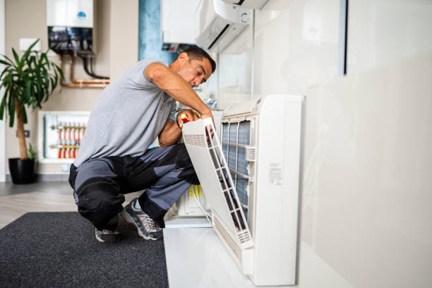 Best Home Air Vent Cleaning  in Shelbyvle, IL