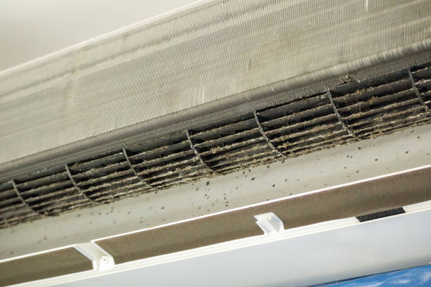 Best Local Air Duct Cleaning Services  in Shelbyvle, IL